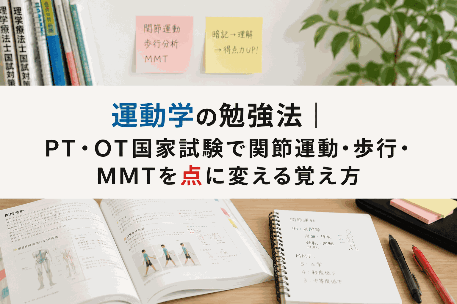 運動学の勉強法|PT・OT国家試験で関節運動・歩行・MMTを点に変える覚え方