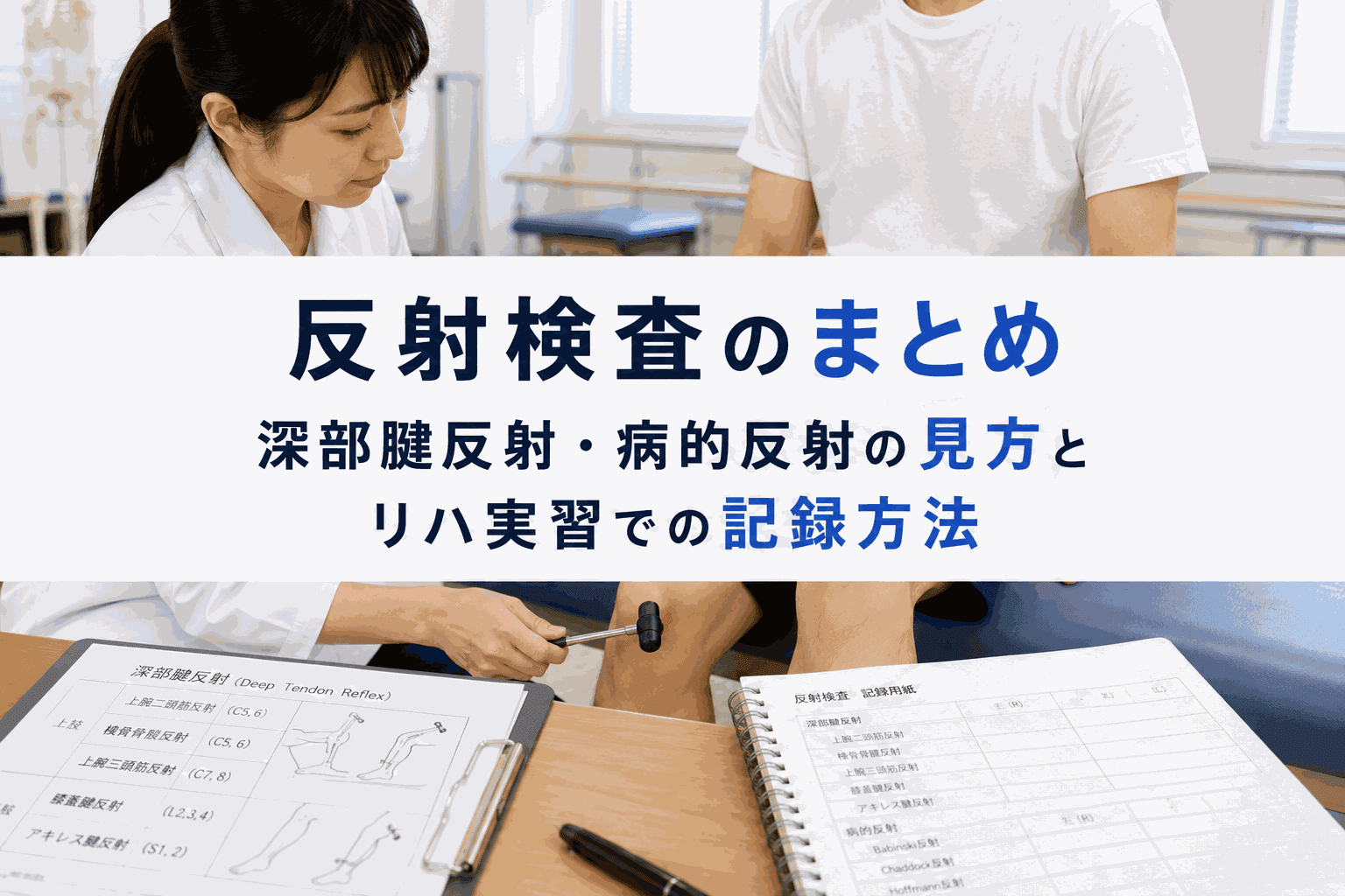 反射検査のまとめ|深部腱反射・病的反射の見方とリハ実習での記録方法