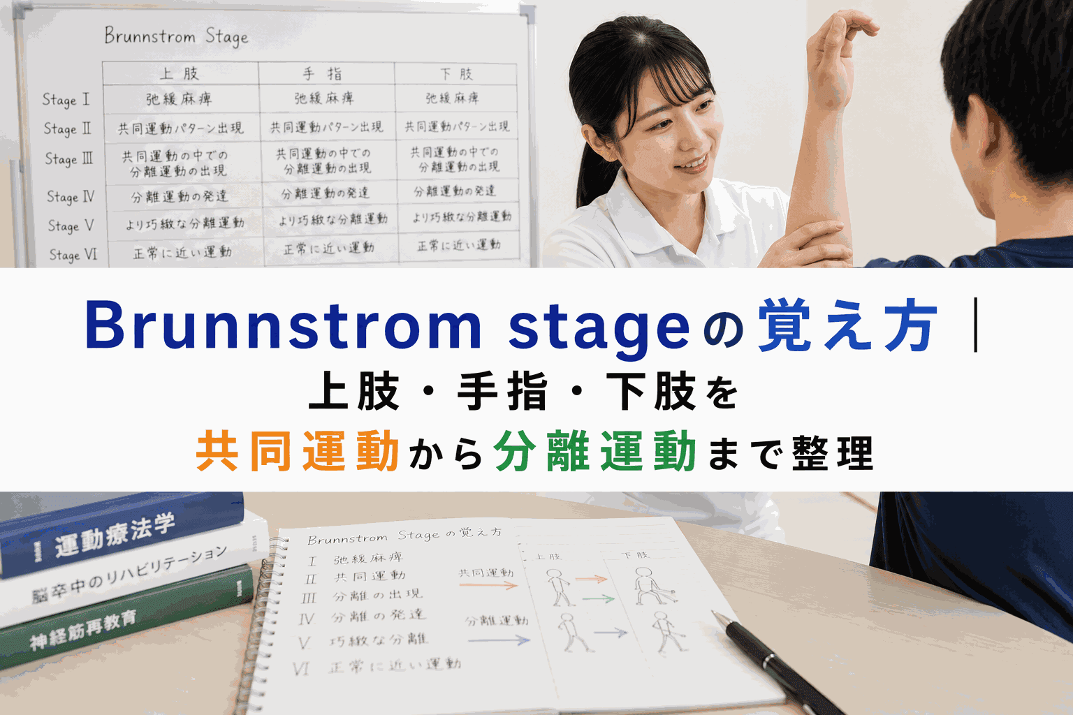 Brunnstrom stageの覚え方|上肢・手指・下肢を共同運動から分離運動まで整理